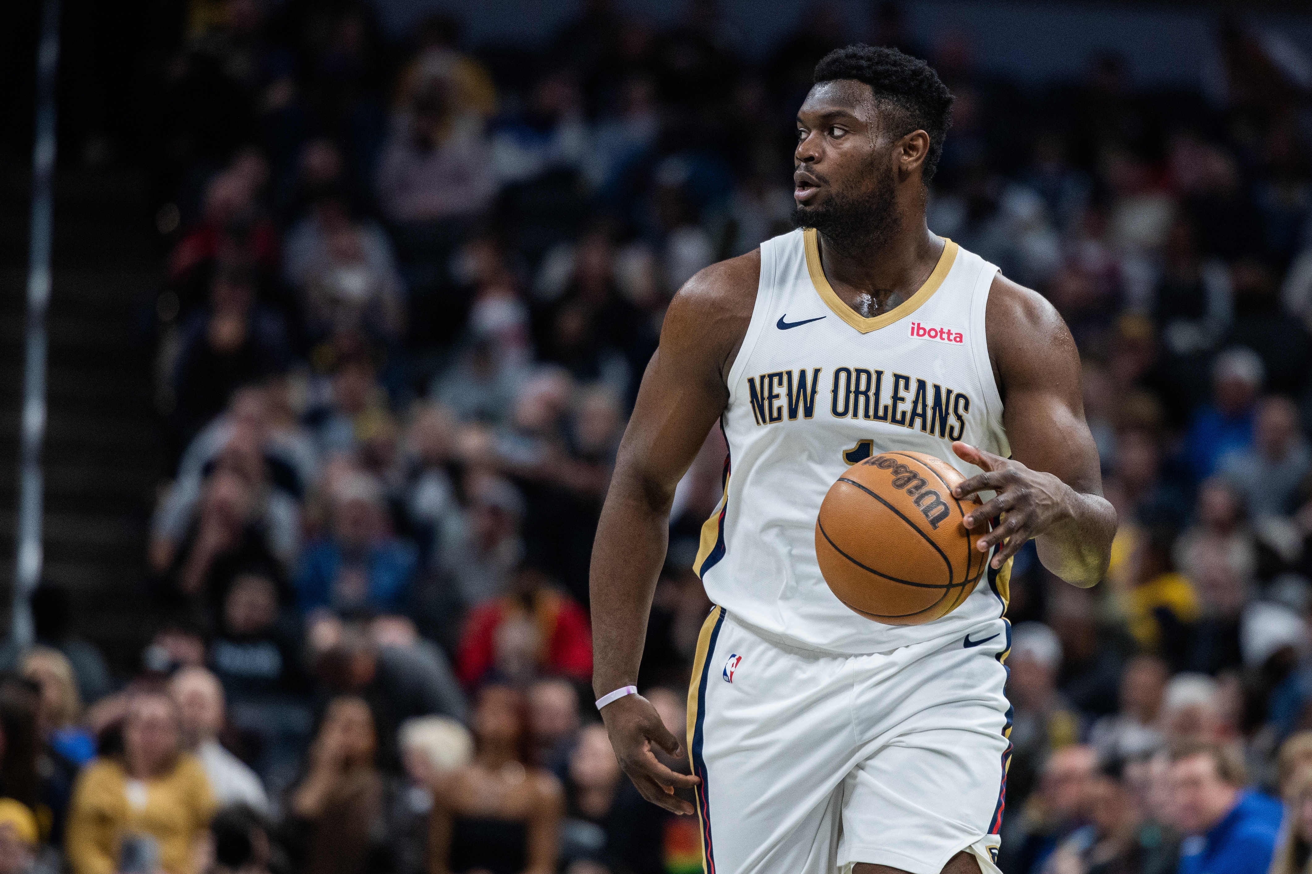 鹈鹕大胜篮网，埋下底特律的简单介绍